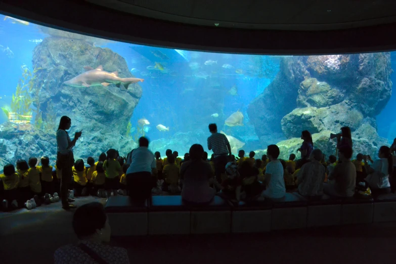 a big aquarium filled with people near water