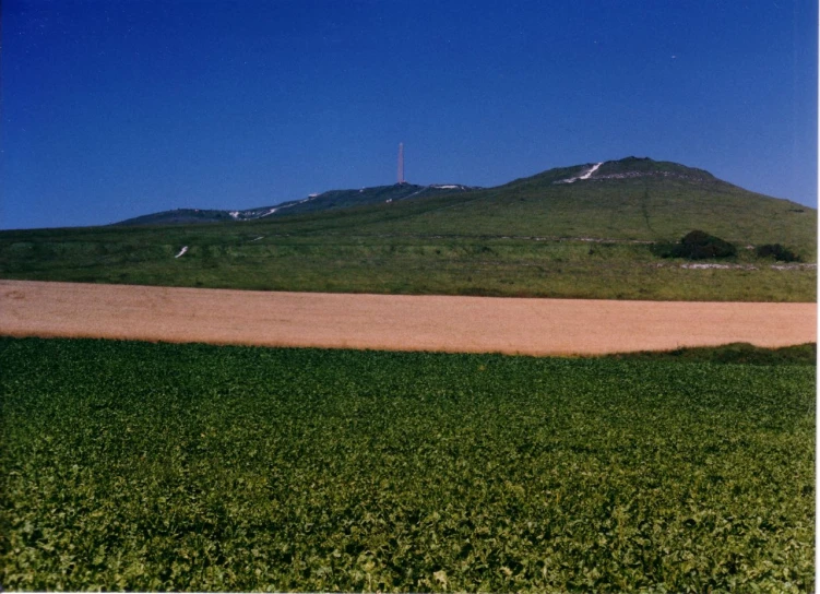 a view of a mountain behind a green field