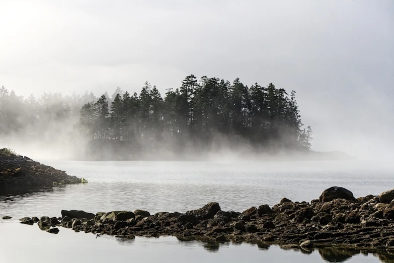 a beautiful misty morning over a body of water