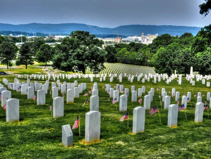 the headstones in the cemetery are surrounded by flags