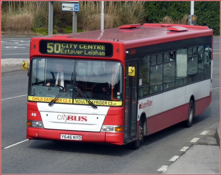 a red and white bus driving on street next to trees