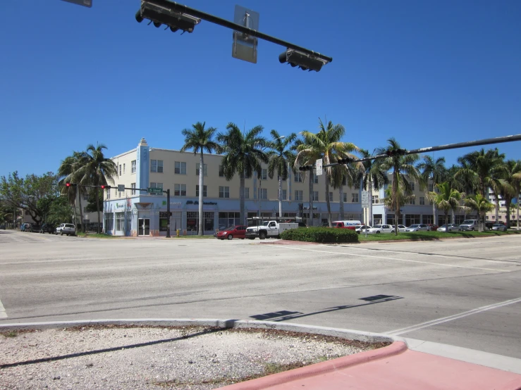 some palm trees line the street corner near buildings