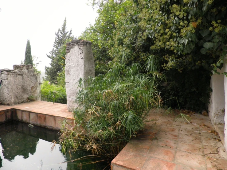 a small pond near a brick wall, next to plants and trees