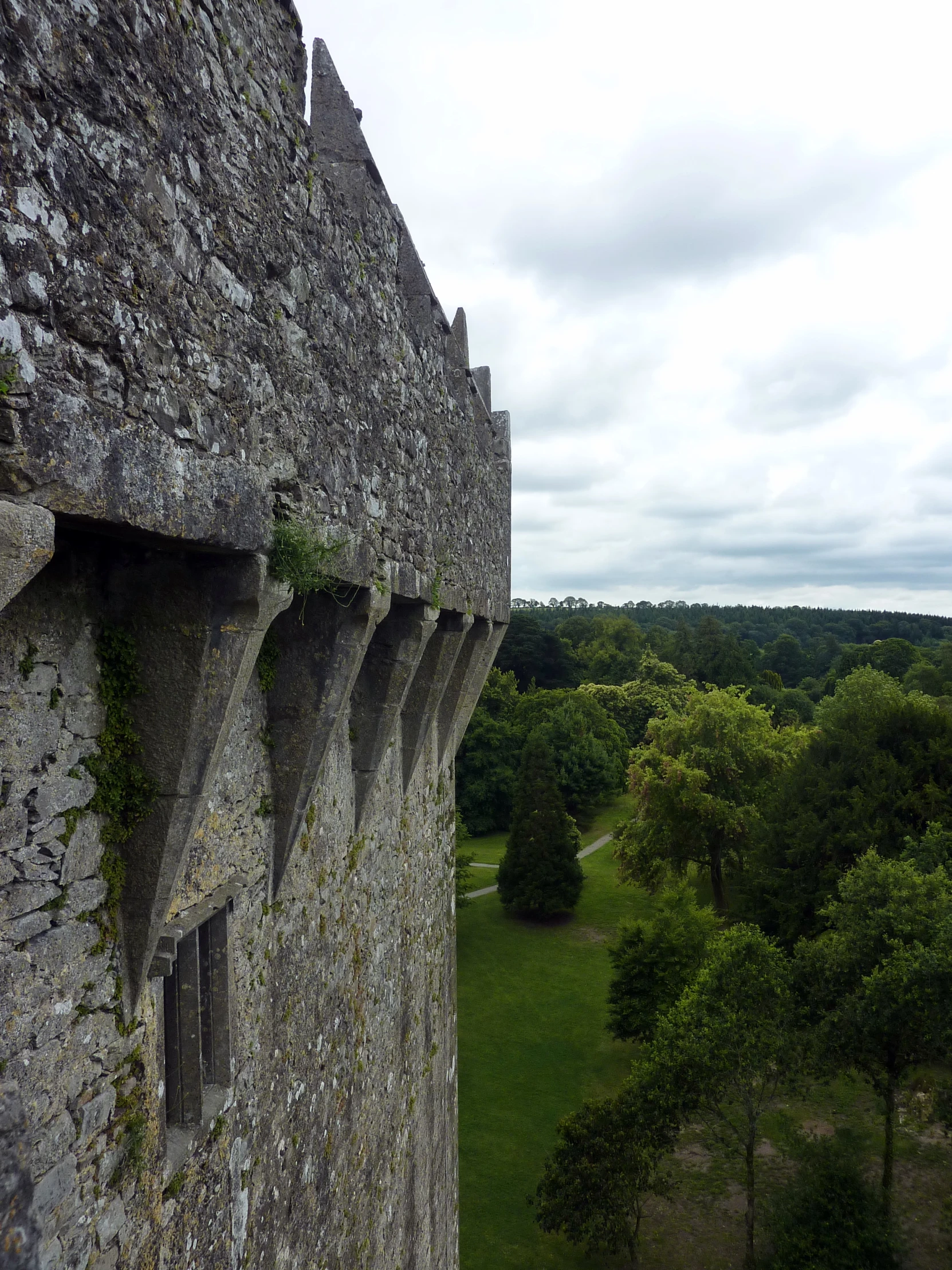 there are many plants on the top of a castle