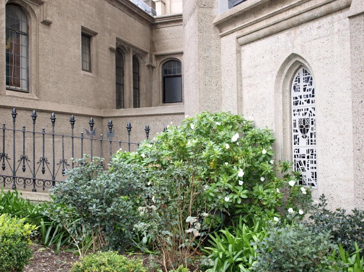 there is a plant next to the building