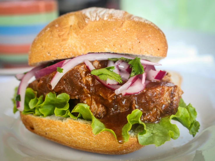 a close up of a sandwich on a plate, lomo saltado, square, “pig, purple