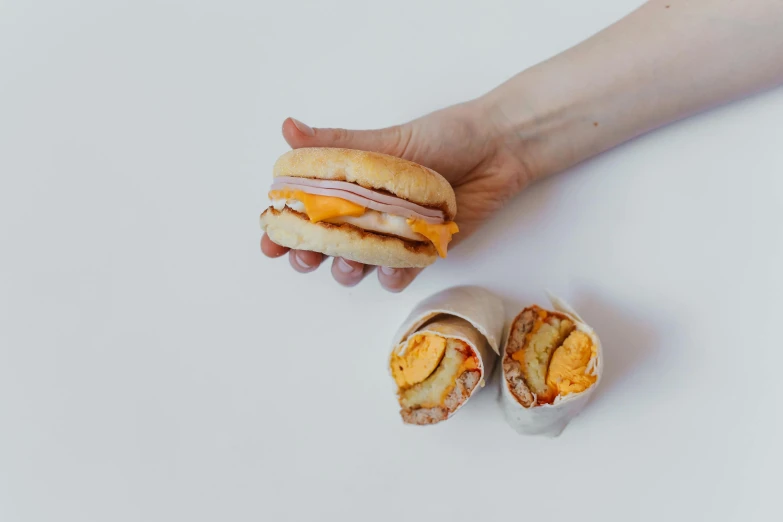 a person holding a sandwich in their hand, by Emma Andijewska, pexels contest winner, melted cheddar, bao pnan, lunchmeat, white background and fill