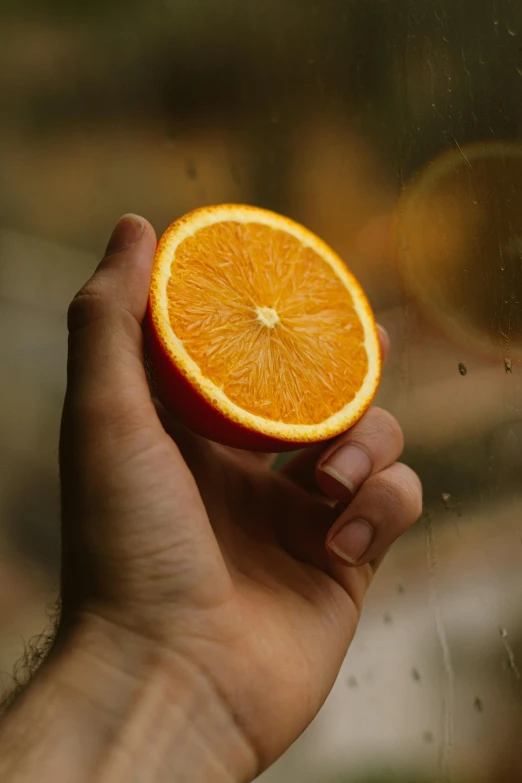 a person holding an orange in front of a window, pexels contest winner, half moon, organics, highly polished, 🍸🍋