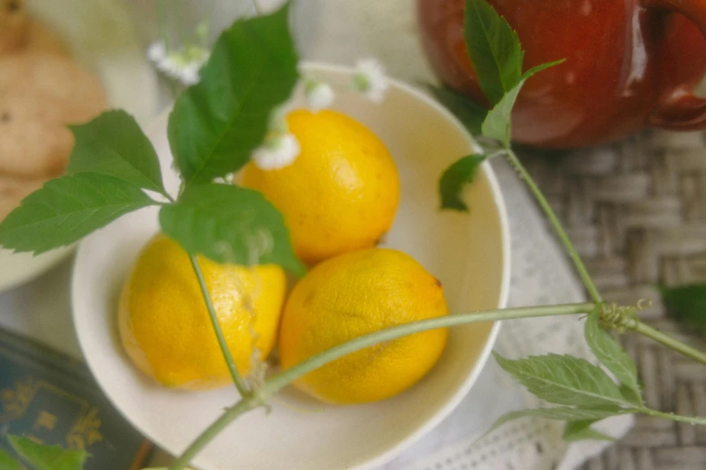 a white bowl filled with lemons on top of a table, cottagecore, warm coloured, 🦩🪐🐞👩🏻🦳, zoomed in