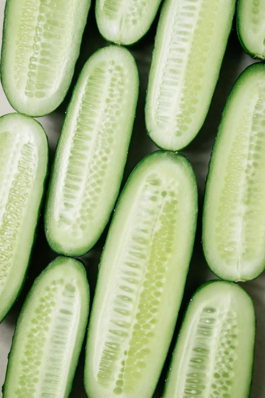 a close up of a bunch of sliced cucumbers, trending on pexels, photorealism, short light grey whiskers, soft oval face, ilustration, dew