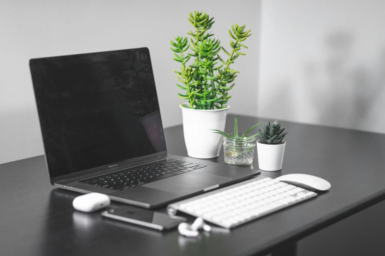 a laptop computer sitting on top of a wooden desk, unsplash, pots with plants, black and green, corporate business, background image