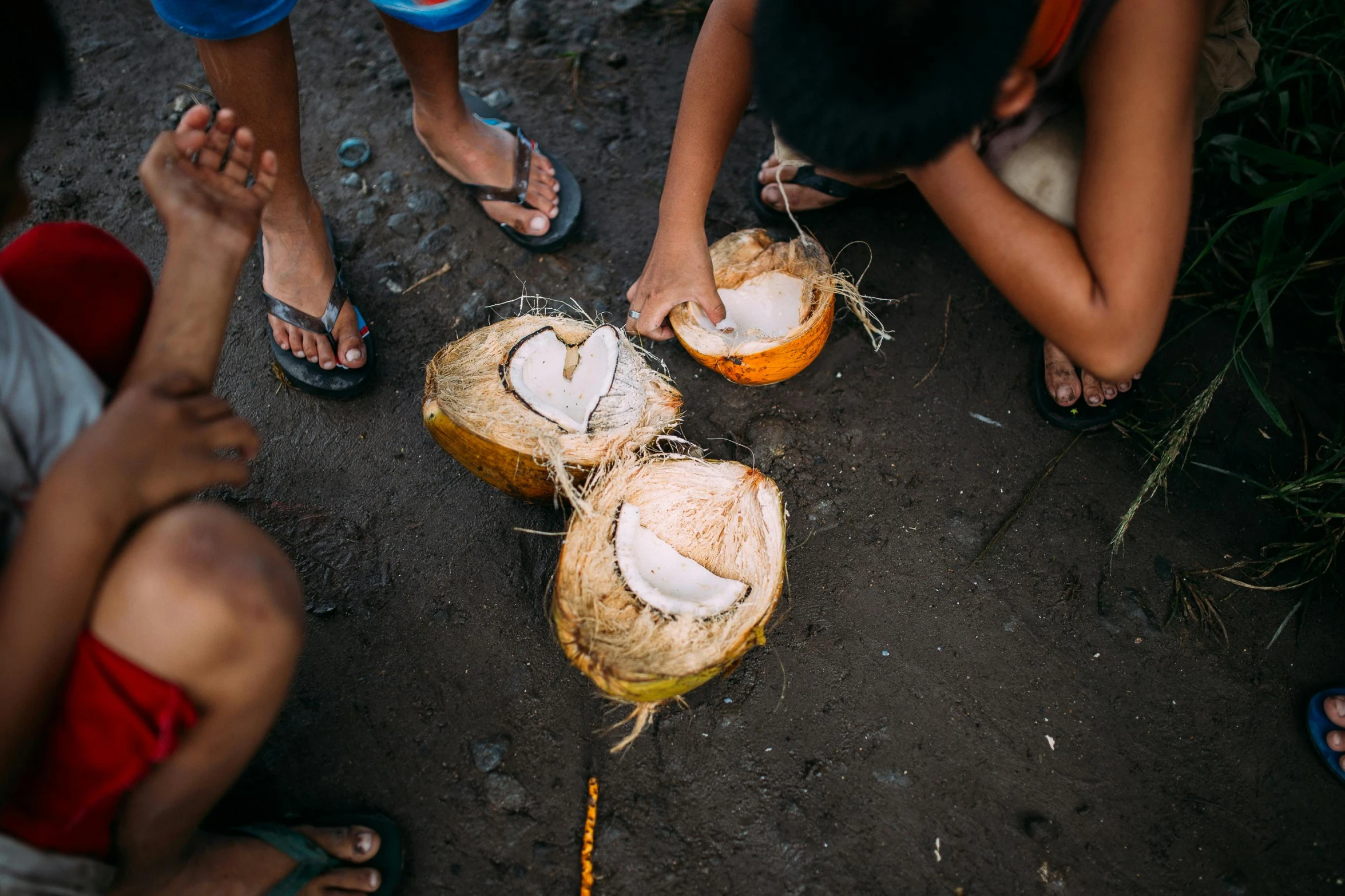 a group of people standing around a couple of coconuts, by Sam Dillemans, pexels contest winner, tins of food on the floor, eating outside, thumbnail, philippines