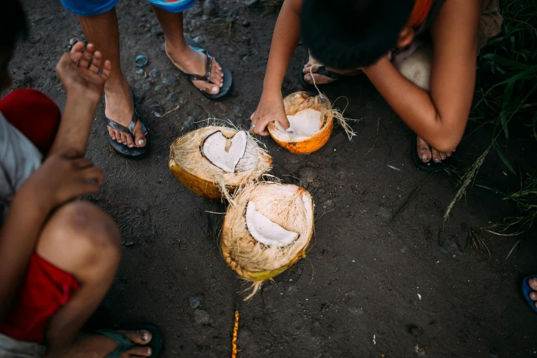 a group of people standing around a couple of coconuts, by Sam Dillemans, pexels contest winner, tins of food on the floor, eating outside, thumbnail, philippines