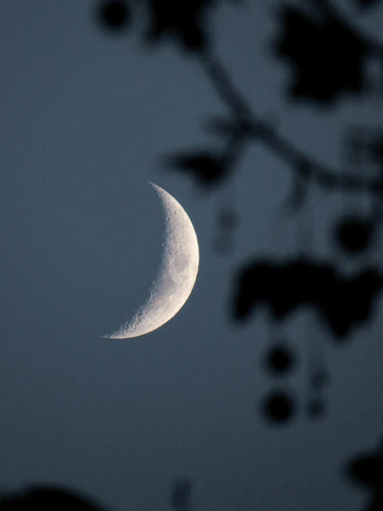 the moon is seen through the branches of a tree, an album cover, inspired by Alexander Nasmyth, trending on unsplash, hurufiyya, crescent moon, sickle, early evening