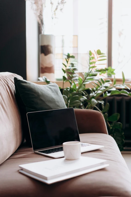 a laptop computer sitting on top of a brown couch, trending on pexels, large potted plant, comfy chairs, medium head to shoulder shot, late morning