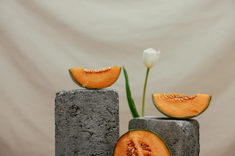 a couple of pieces of melon sitting on top of cement blocks, a still life, unsplash, concrete art, background image, on a pedestal, blooming, grey orange