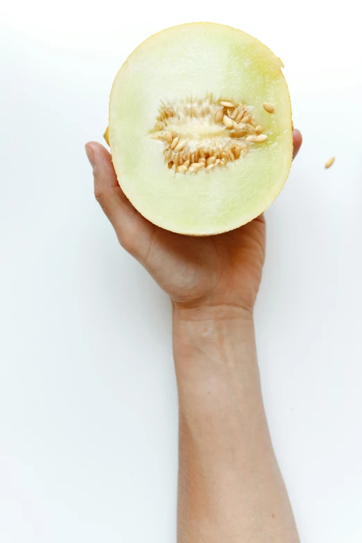 a person holding a half of a melon, a picture, by Matthias Stom, trending on unsplash, renaissance, real human female hand, digitally enhanced, white, gongbi