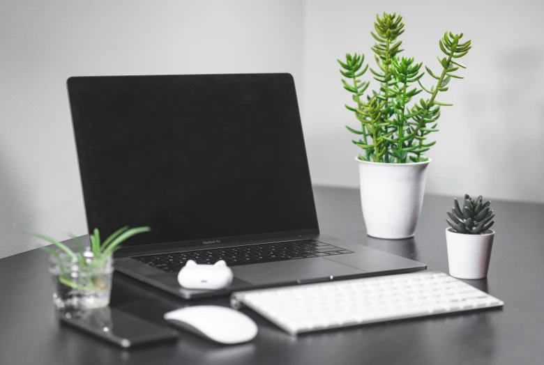 a laptop computer sitting on top of a wooden desk, pexels, minimalism, pots with plants, black and green, background image, black-and-white