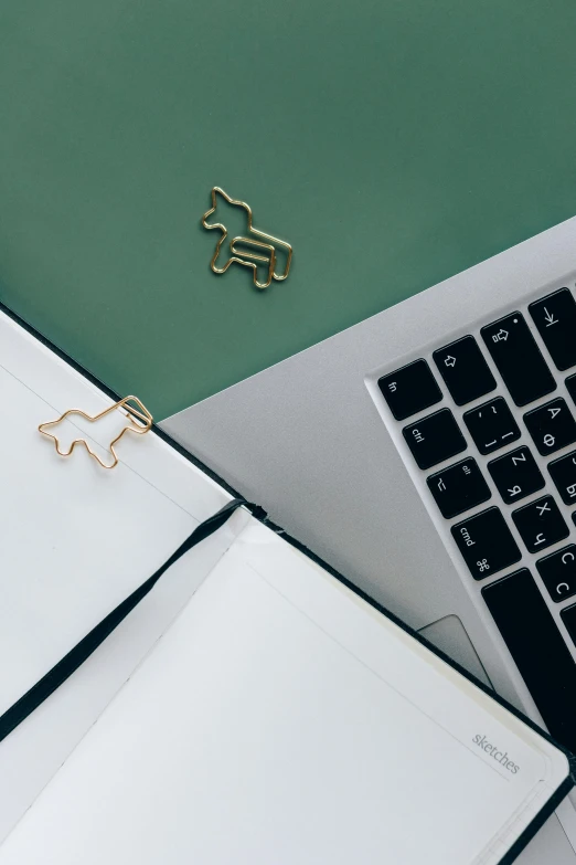 a laptop computer sitting on top of a desk next to a notebook, by Julia Pishtar, trending on pexels, gold and silver shapes, animals, green lines, my computer icon