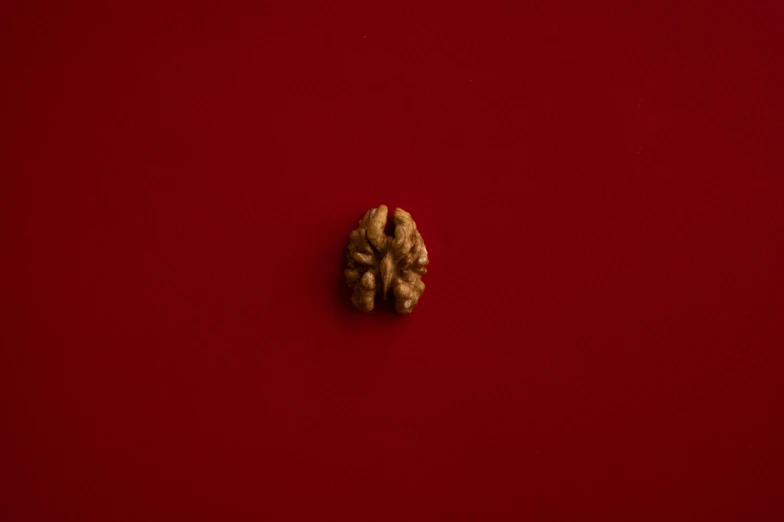 a walnut on a red background, an album cover, by Elsa Bleda, brain, who can open the mind, ignant, nut