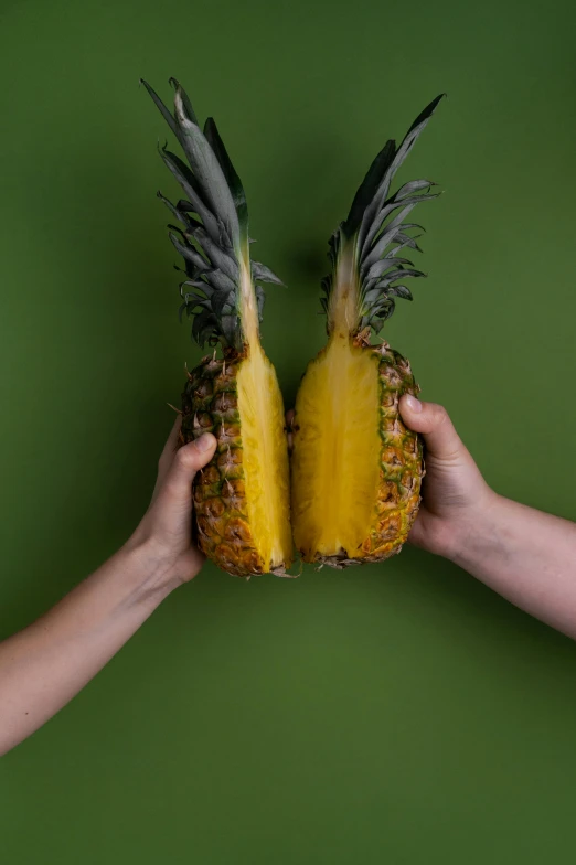 two hands holding two halves of a pineapple, pexels contest winner, giant wings, greenish tinge, studio photo, facing each other