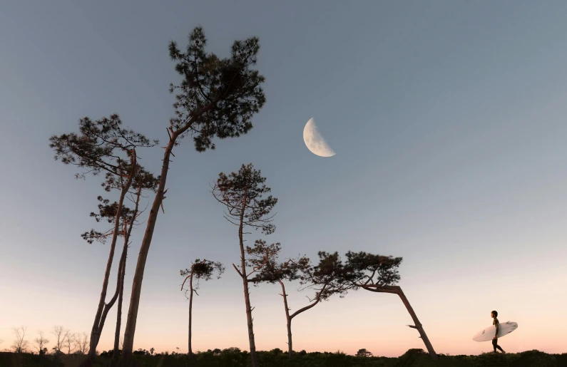 a man holding a surfboard on top of a lush green field, an album cover, by Jesper Knudsen, unsplash contest winner, land art, an image of a moonlit forest, curved trees, evening at dusk, moon craters