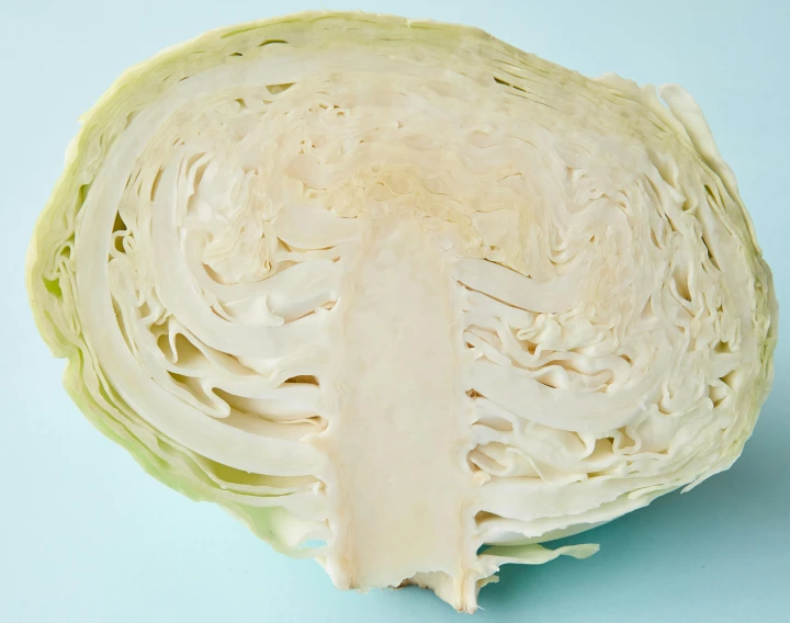 a cabbage cut in half on a blue surface, head slightly tilted, creamy, pale white face, intricate features