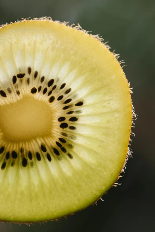 a close up of a kiwi fruit cut in half, a macro photograph, trending on pexels, hurufiyya, made of fruit and flowers, sunlit, f / 2 0, manuka