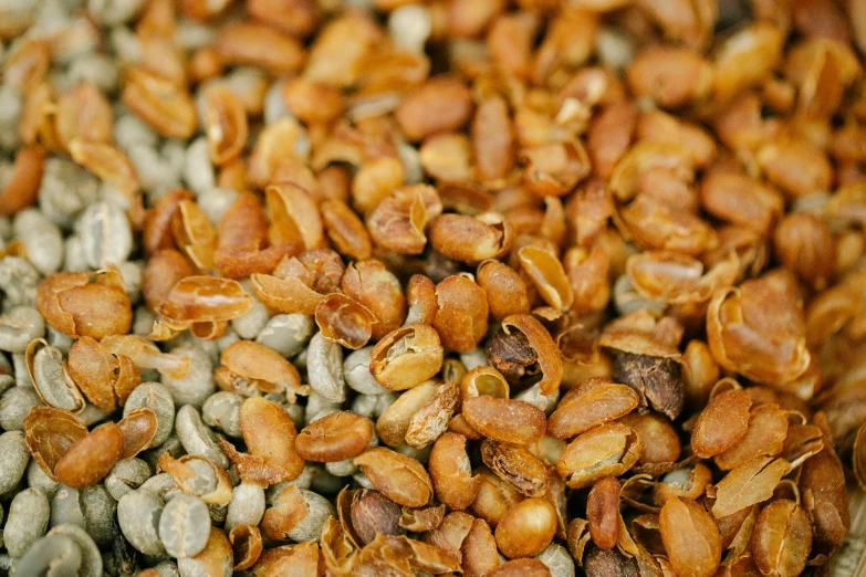a pile of seeds sitting on top of a table, by Carey Morris, pexels, mingei, woodfired, avatar image, close up image, soup