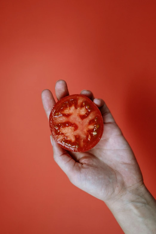 a person holding a piece of tomato in their hand, pexels, circle, highly upvoted, made of glazed, ignant