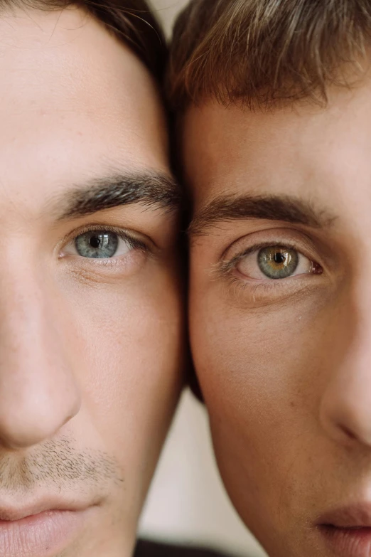 a couple of men standing next to each other, trending on pexels, renaissance, grey colored eyes, multi-part, gay, light brown eyes