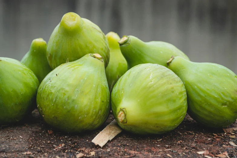 a pile of green figs sitting on top of a wooden table, cabbage trees, alessio albi, 6 pack, ground - level medium shot