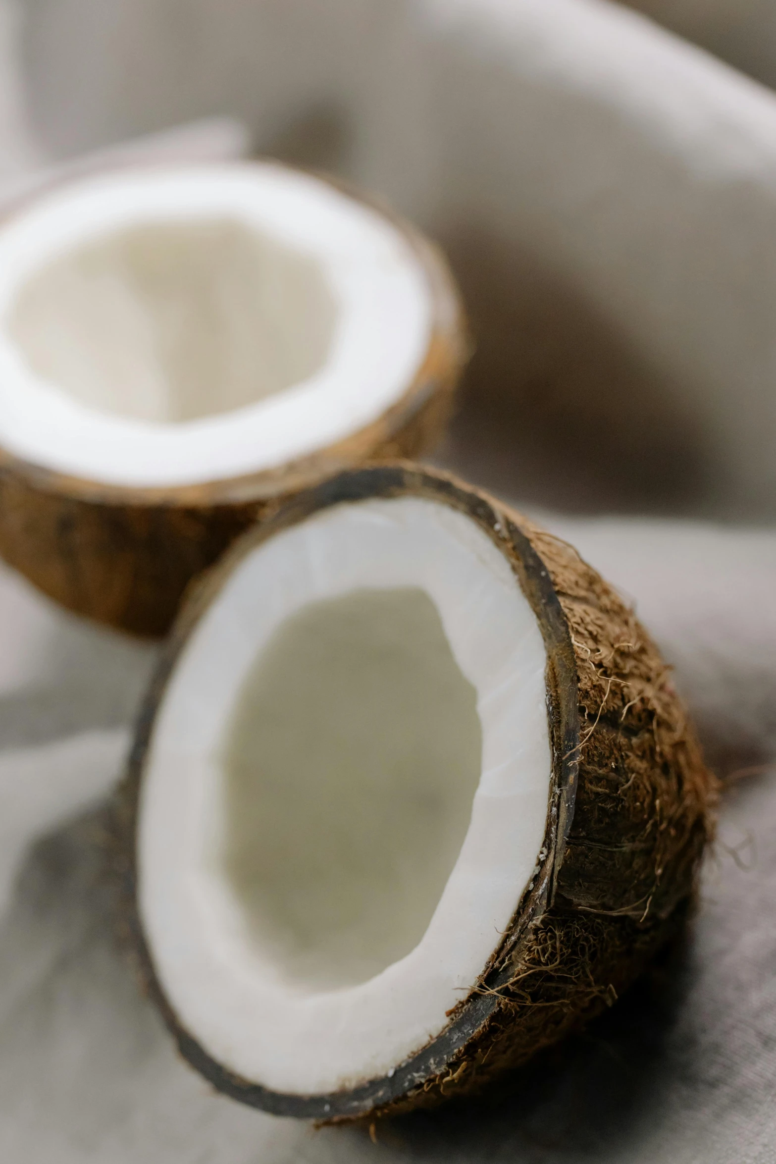 a couple of coconuts sitting on top of a table, up-close, cooked, sustainable materials, multiple stories