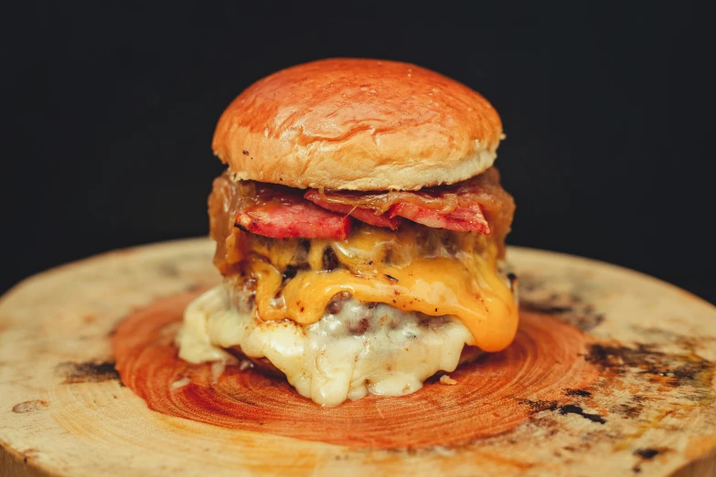 a cheeseburger sitting on top of a wooden cutting board, a portrait, unsplash, baroque, bacon, melbourne, 🦩🪐🐞👩🏻🦳, frontal shot