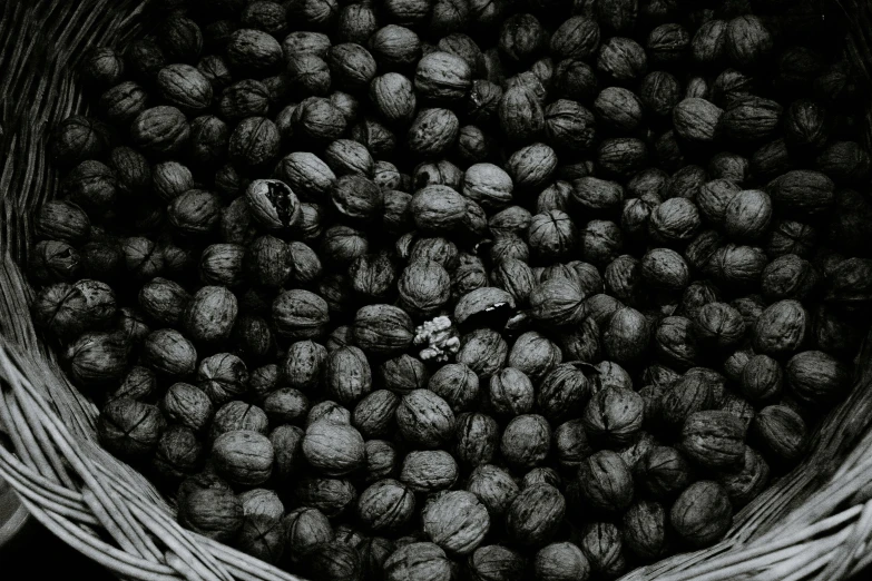 a black and white photo of walnuts in a basket, by Frederik Vermehren, visual art, beans, information, thumbnail, bo xun ling