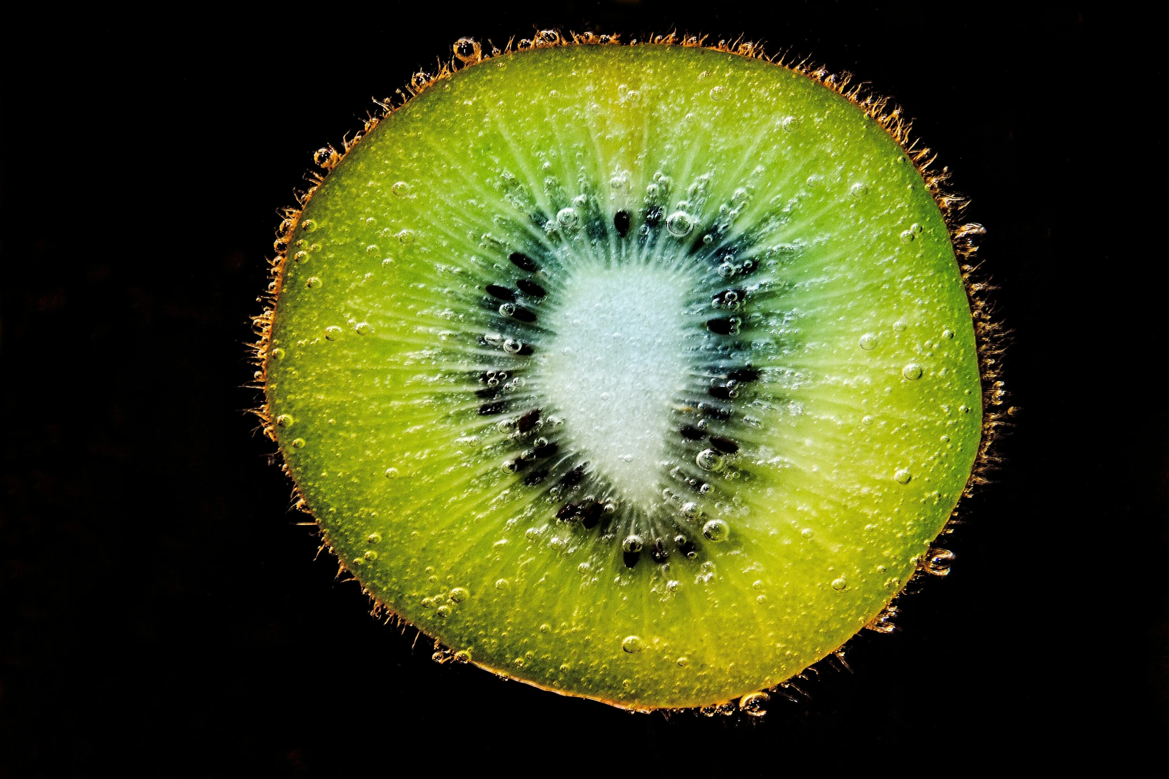 a close up of a kiwi fruit cut in half, by Alison Geissler, pexels, hurufiyya, black background hyperrealism, 🍸🍋, chartreuse and orange and cyan, round format