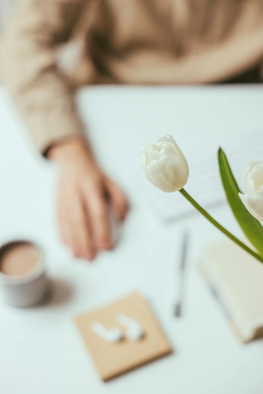 a person sitting at a table with a vase of flowers, trending on unsplash, cream and white color scheme, tulip, office background, porcelain skin ”