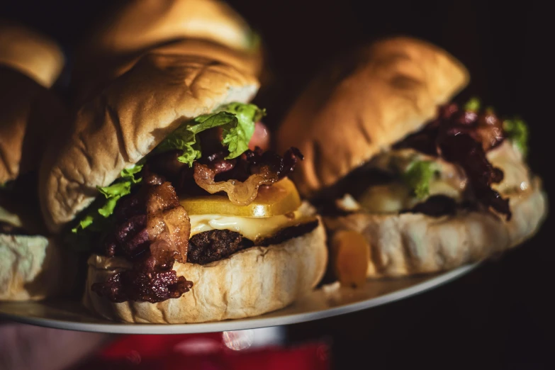 a plate that has a bunch of sandwiches on it, by Joe Bowler, pexels contest winner, operating on burgers, close up portrait shot, maroon, thumbnail