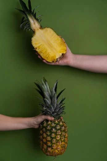 a person holding a pineapple in one hand and a pineapple in the other, by Matthias Stom, trending on unsplash, studio photo, multiple stories, sydney hanson, two people
