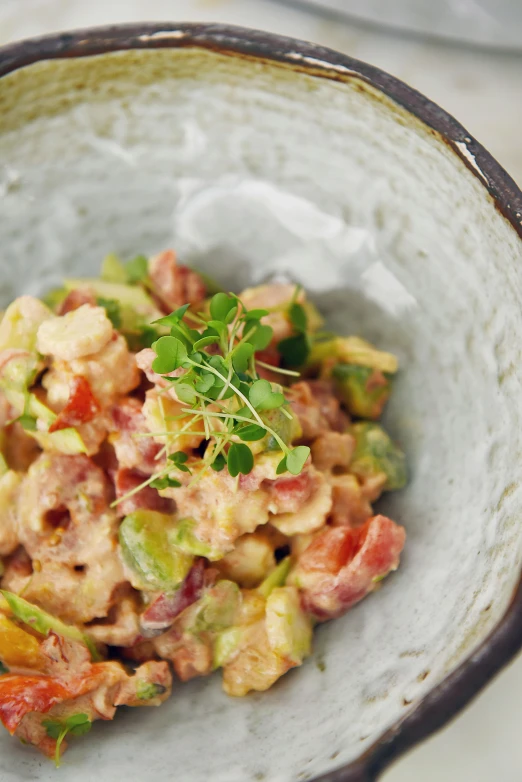 a close up of a bowl of food on a table, mingei, fancy dressing, thumbnail, mayo, jaime jasso