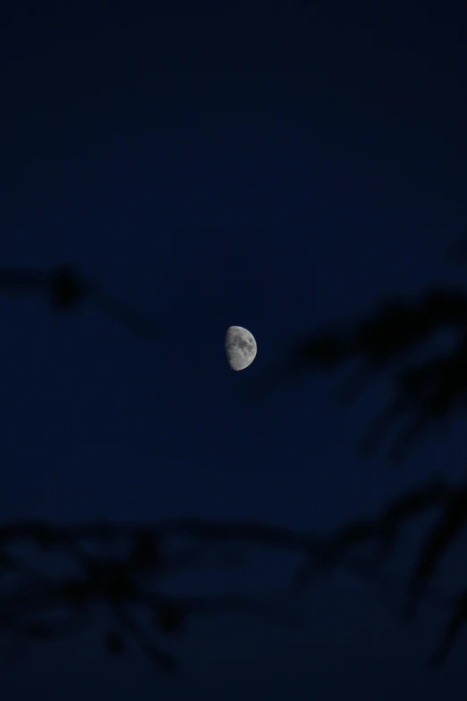 the moon is seen through the branches of a tree, by Chris Rallis, hurufiyya, 15081959 21121991 01012000 4k, smol, distant - mid - shot, blue