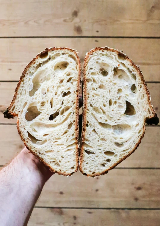 a person holding a piece of bread in their hand, clear julian lage face, massive wide trunk, speckled, lightweight