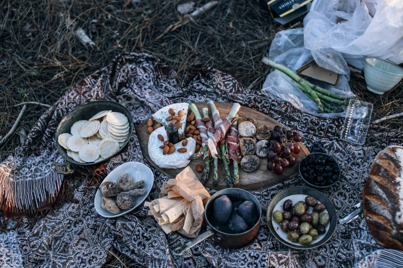 a table topped with lots of food on top of a blanket, unsplash, renaissance, wilderness, “ iron bark, cheeses, 3 / 4 wide shot