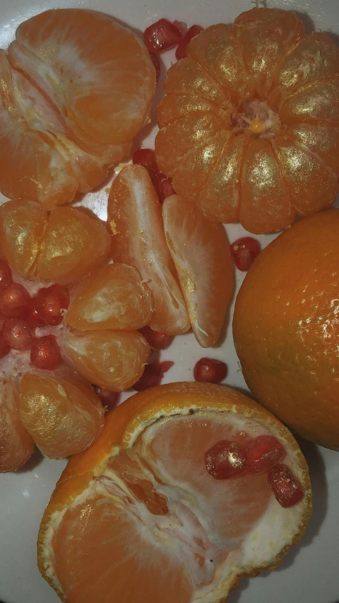 a white plate topped with sliced oranges and pomegranates, by Georgina Hunt, pexels, hyperrealism, grainy photograph, jelly - like texture. photograph, taken in the 2000s, the photo shows a large