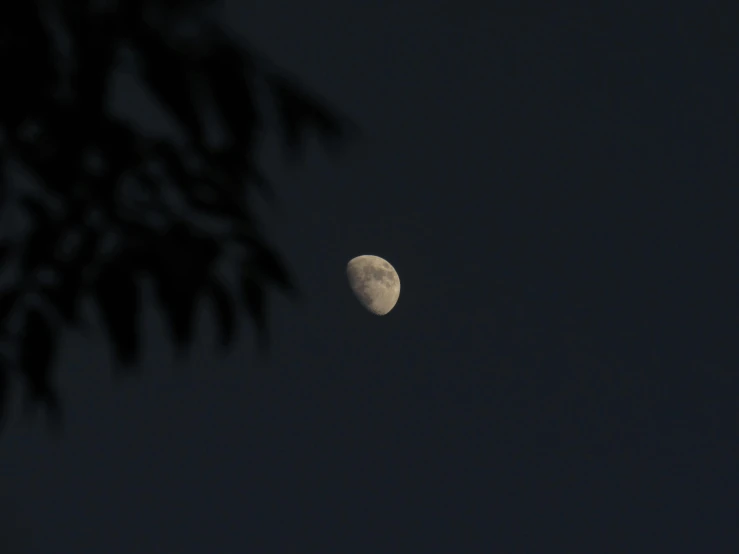 the moon is seen through the branches of a tree, a picture, unsplash, hurufiyya, distant - mid - shot, outdoor photo, shot from roofline, slight haze