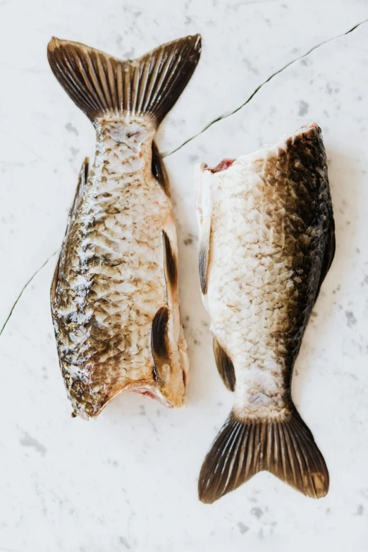 a couple of fish sitting on top of a white counter, by Carey Morris, trending on pexels, mingei, skinned, victoria siemer, finely textured, lane brown