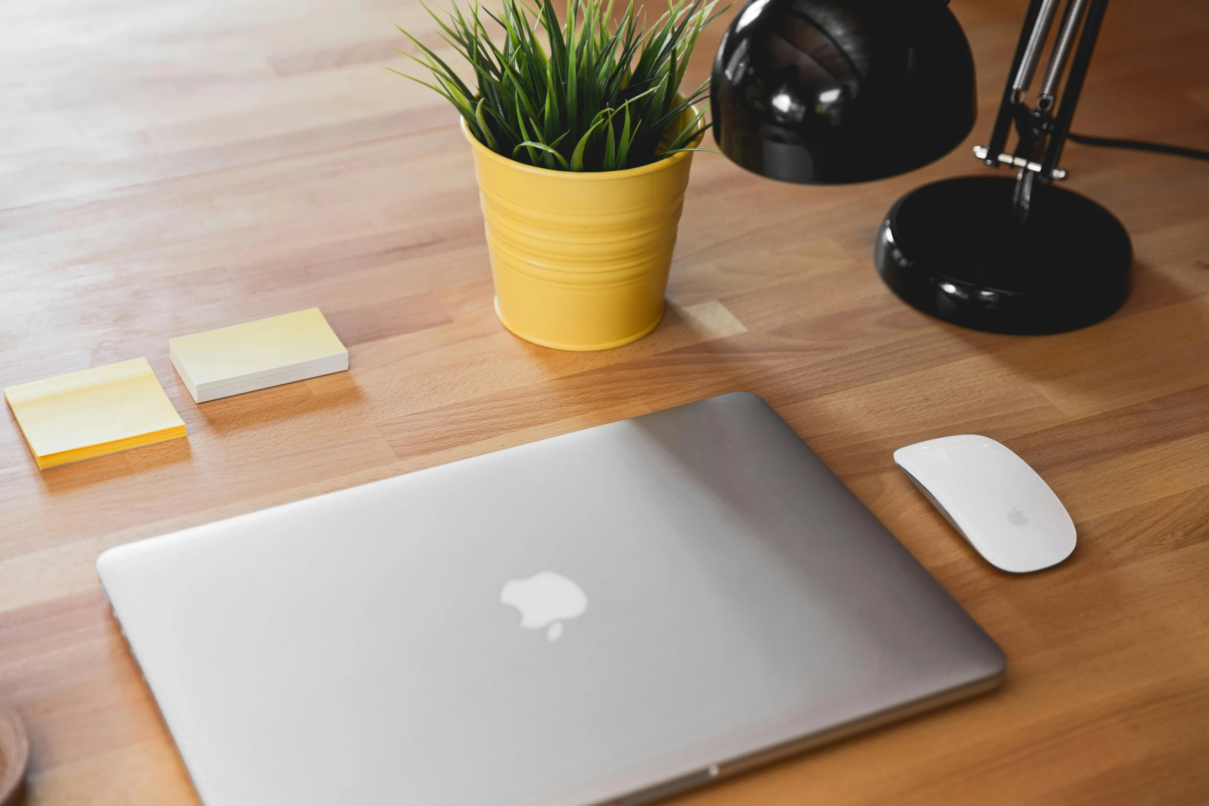 a laptop computer sitting on top of a wooden desk, trending on pexels, next to a plant, apple, thumbnail, carefully crafted