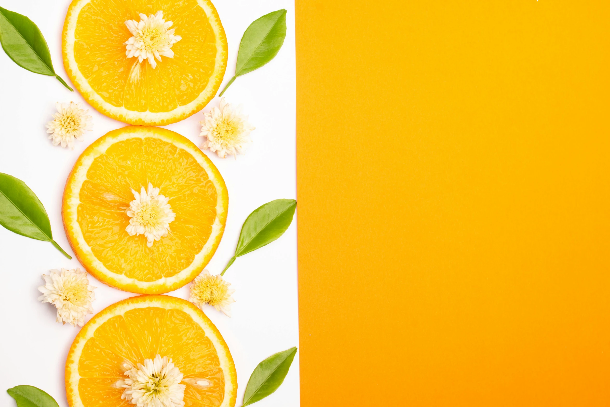 orange slices with leaves and flowers on an orange background, by Andries Stock, trending on unsplash, minimalism, on the white background, colors: yellow, 🐿🍸🍋