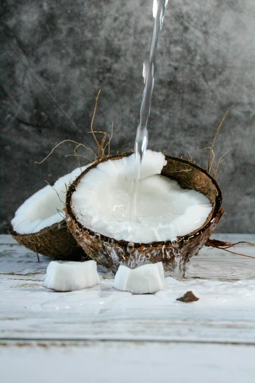 coconut water being poured into a coconut shell, by Andries Stock, unsplash, renaissance, made of glazed, panel, soup, still life photo of a backdrop