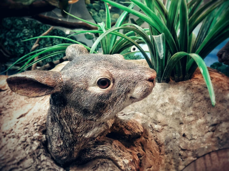 a close up of a stuffed animal near a plant, unsplash, photorealism, chinchilla animal, museum photo, anthropomorphic deer, highly detailed # no filter